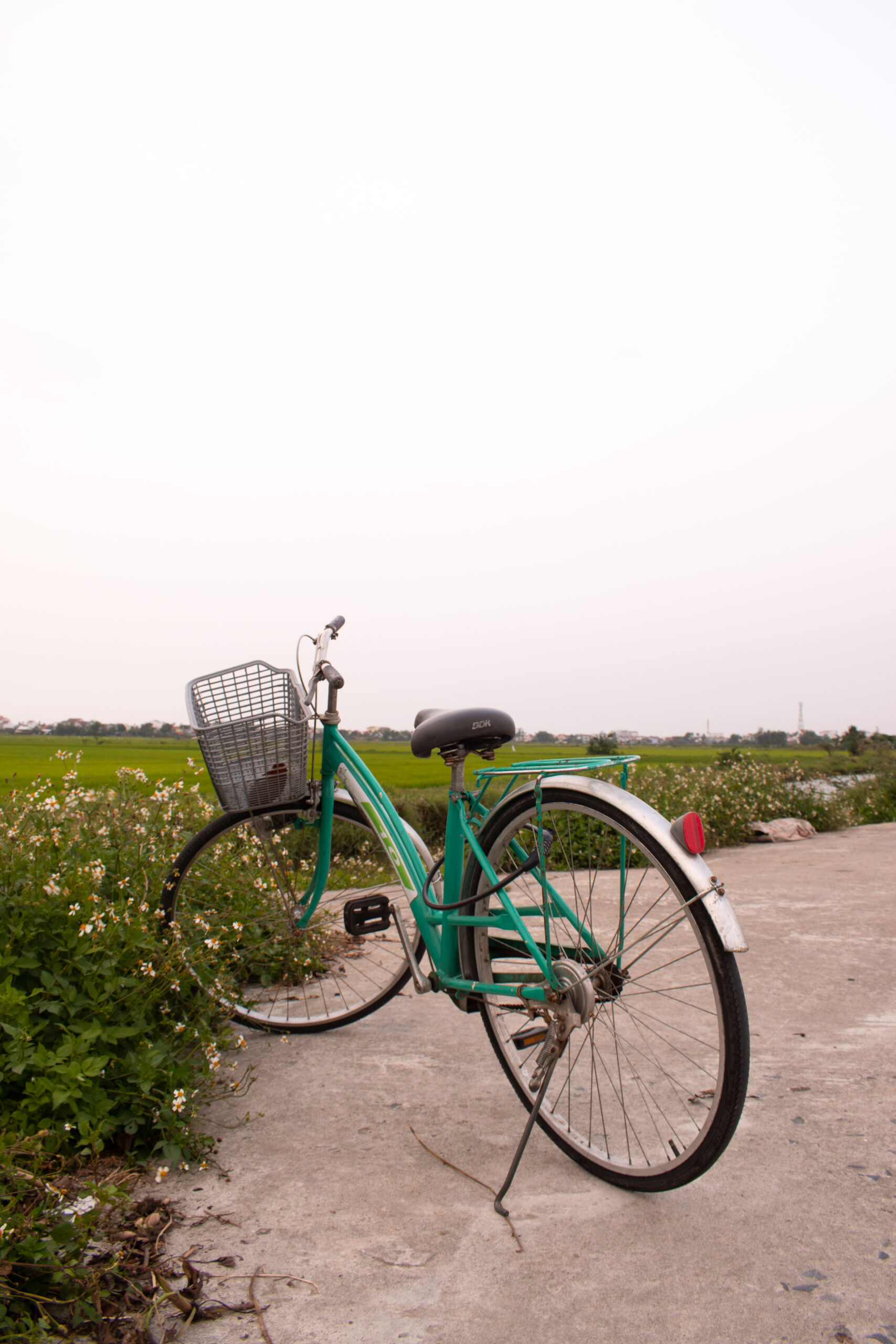 ベトナムのホイアンの田園風景と自転車